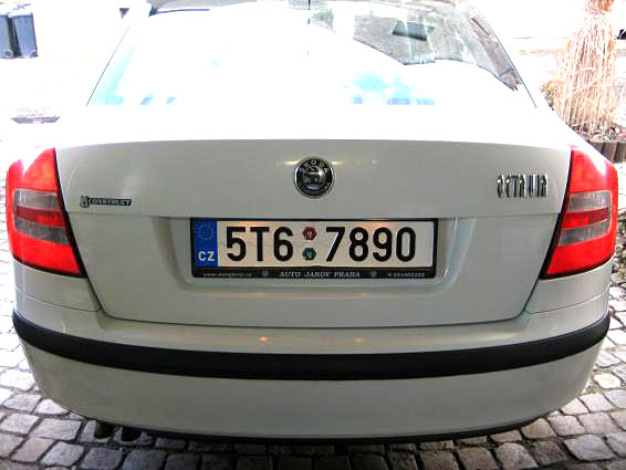 Obrázek