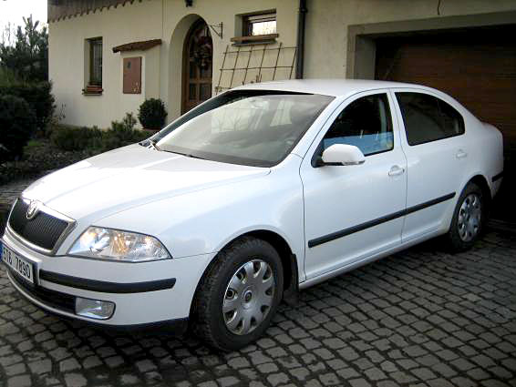 Obrázek