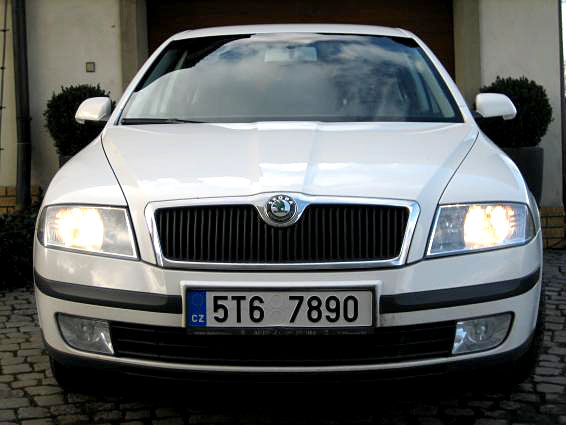 Obrázek