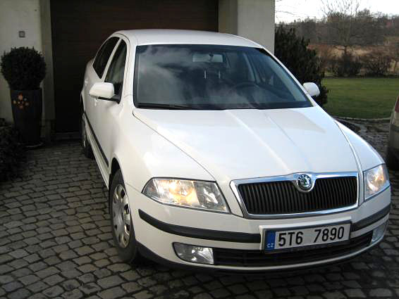 Obrázek