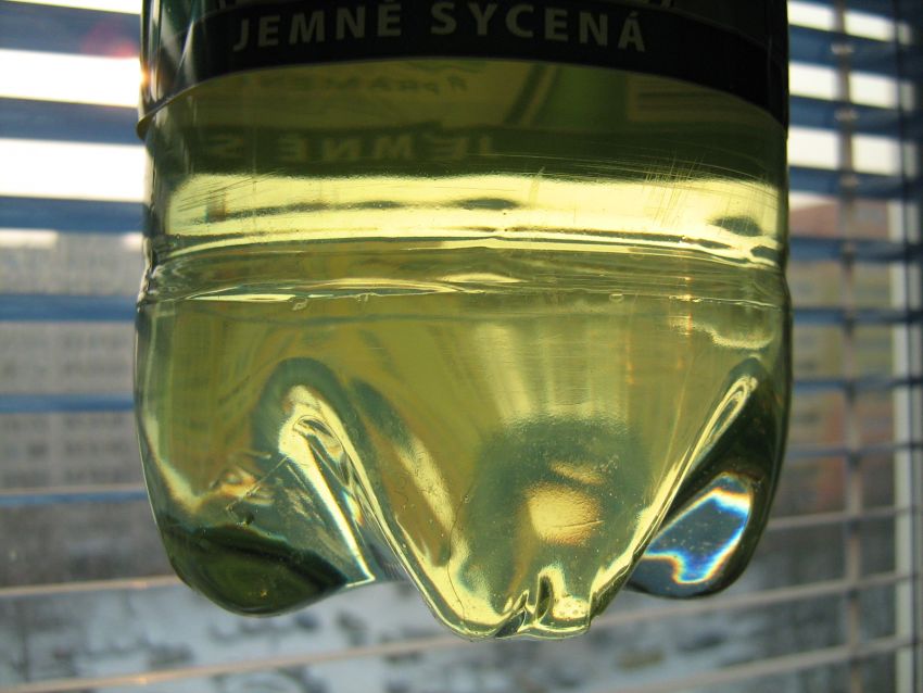 Obrázek