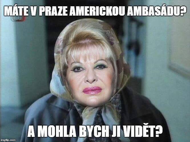 Obrázek