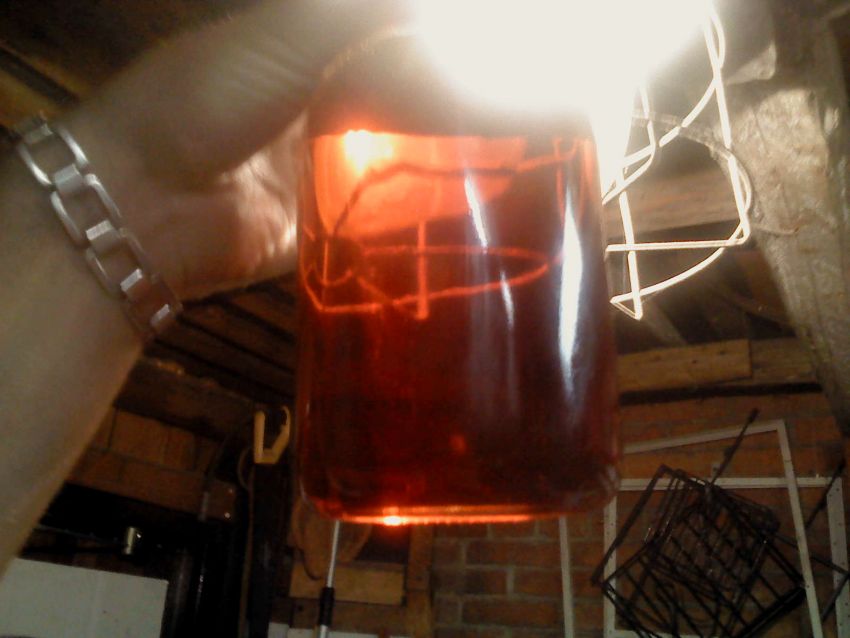 Obrázek