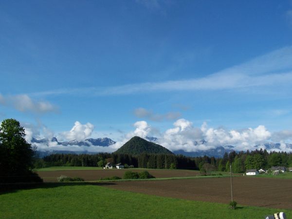 Obrázek